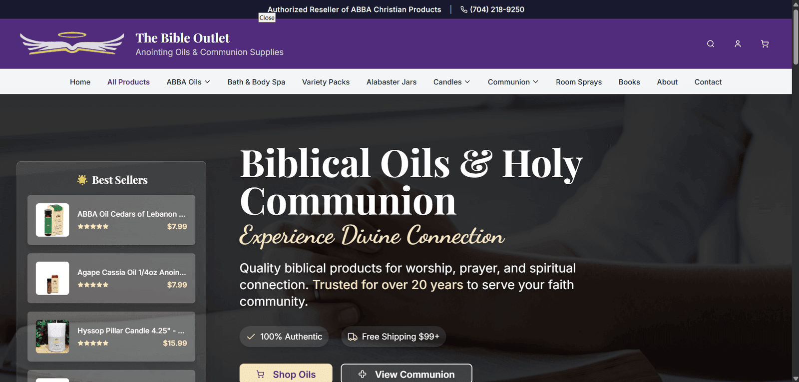 The Bible Outlet website preview